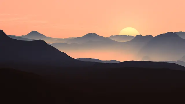 Las cobayas son más activas al anochecer o al amanecer.